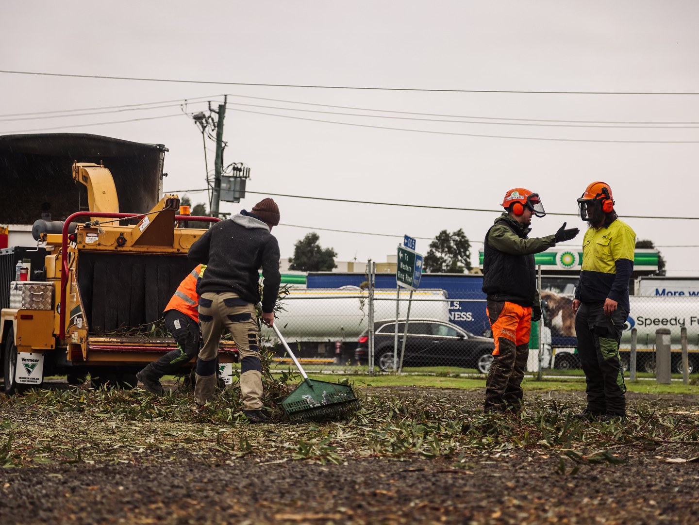 Harrys Yard: Tree Removal & Arborists Melbourne | Melbourne VIC