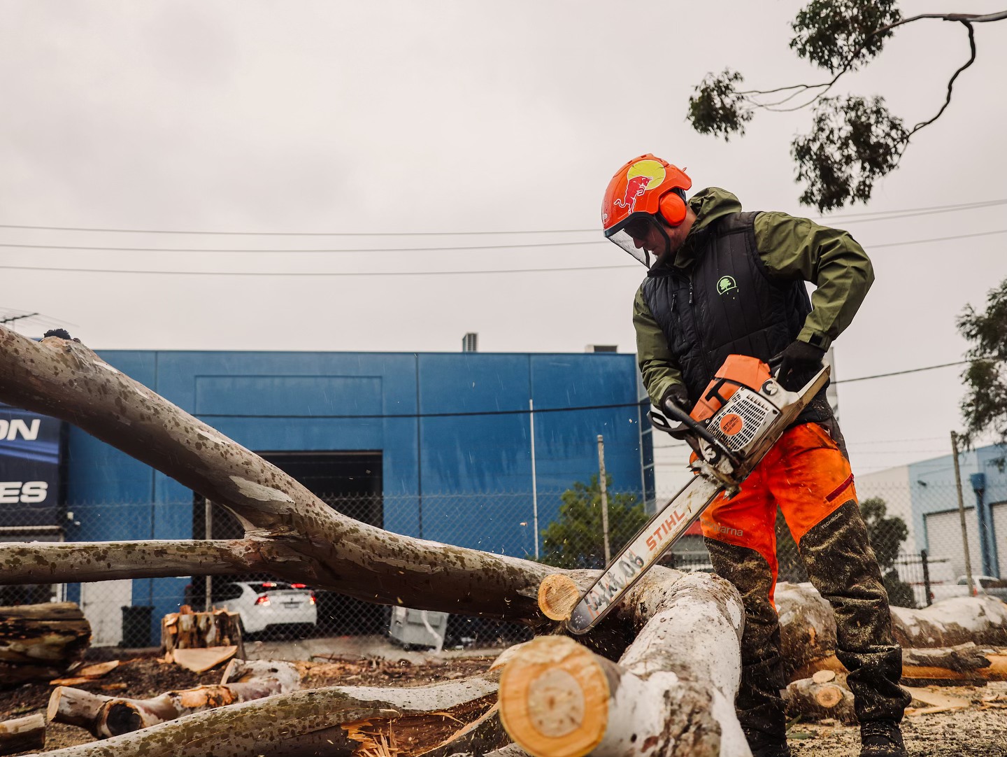 Harrys Yard: Tree Removal & Arborists Melbourne | Melbourne VIC