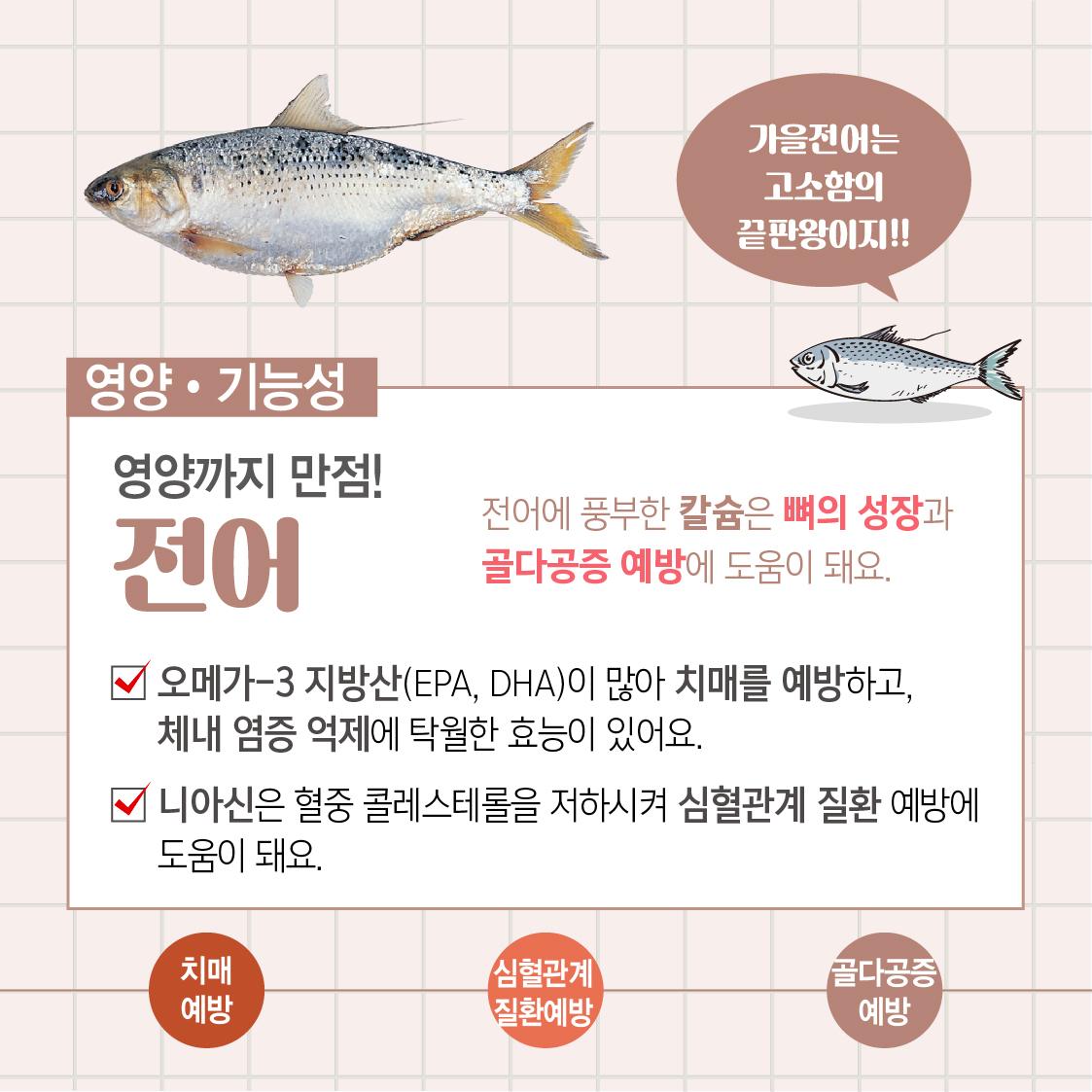국립수산과학원 - [ 가을, 전어의 계절 ] '전어'의 계절이 돌아왔습니다. '전어', 너무 맛이...