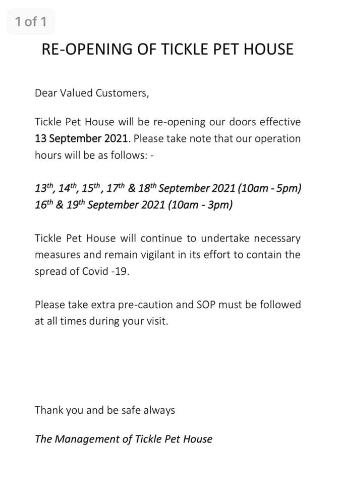 St Angel Animal Medical Centre Home Facebook