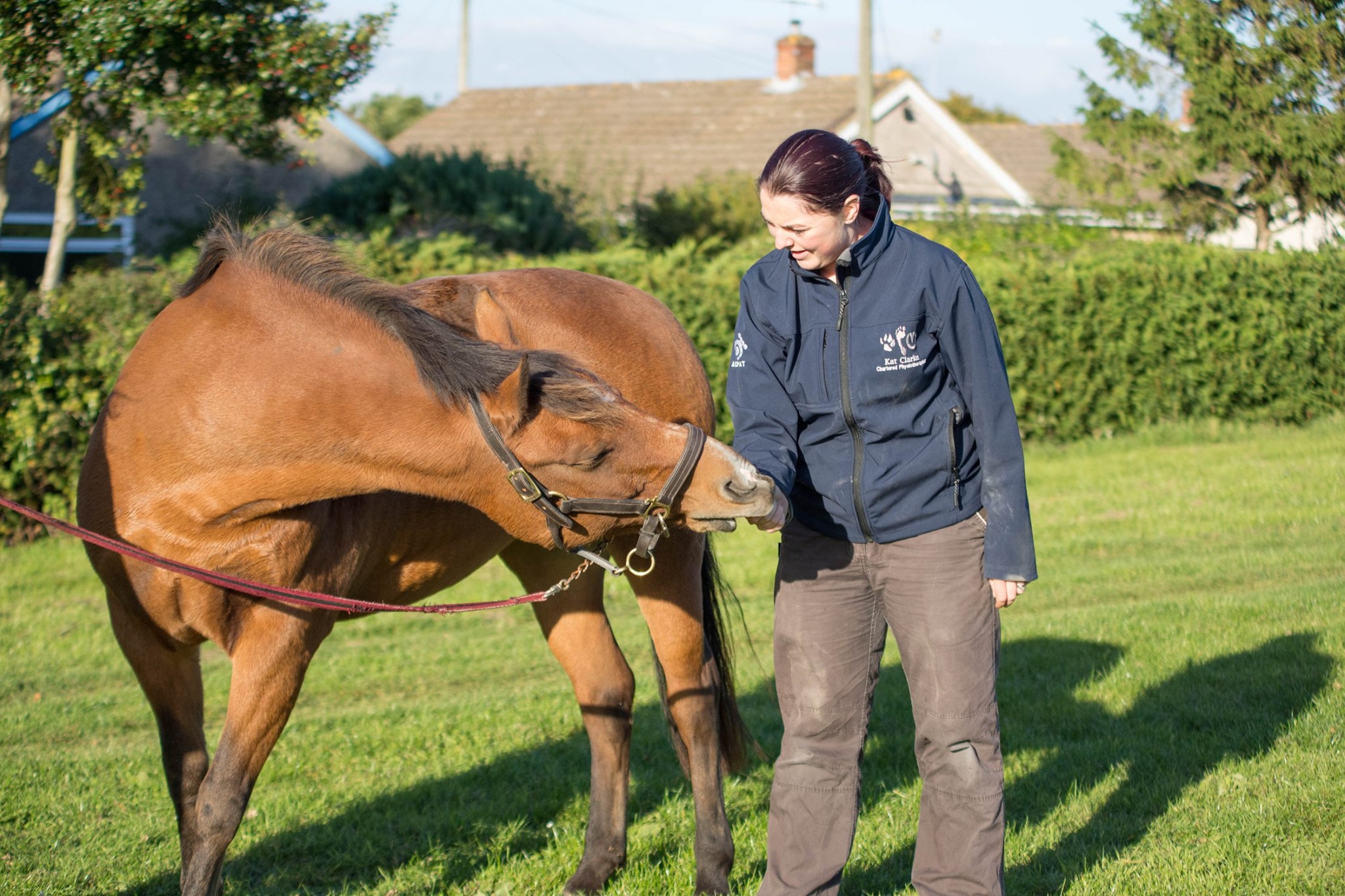 Yorkshire Animal Clinic - Physiotherapy - Physio time with Belle ️ ...