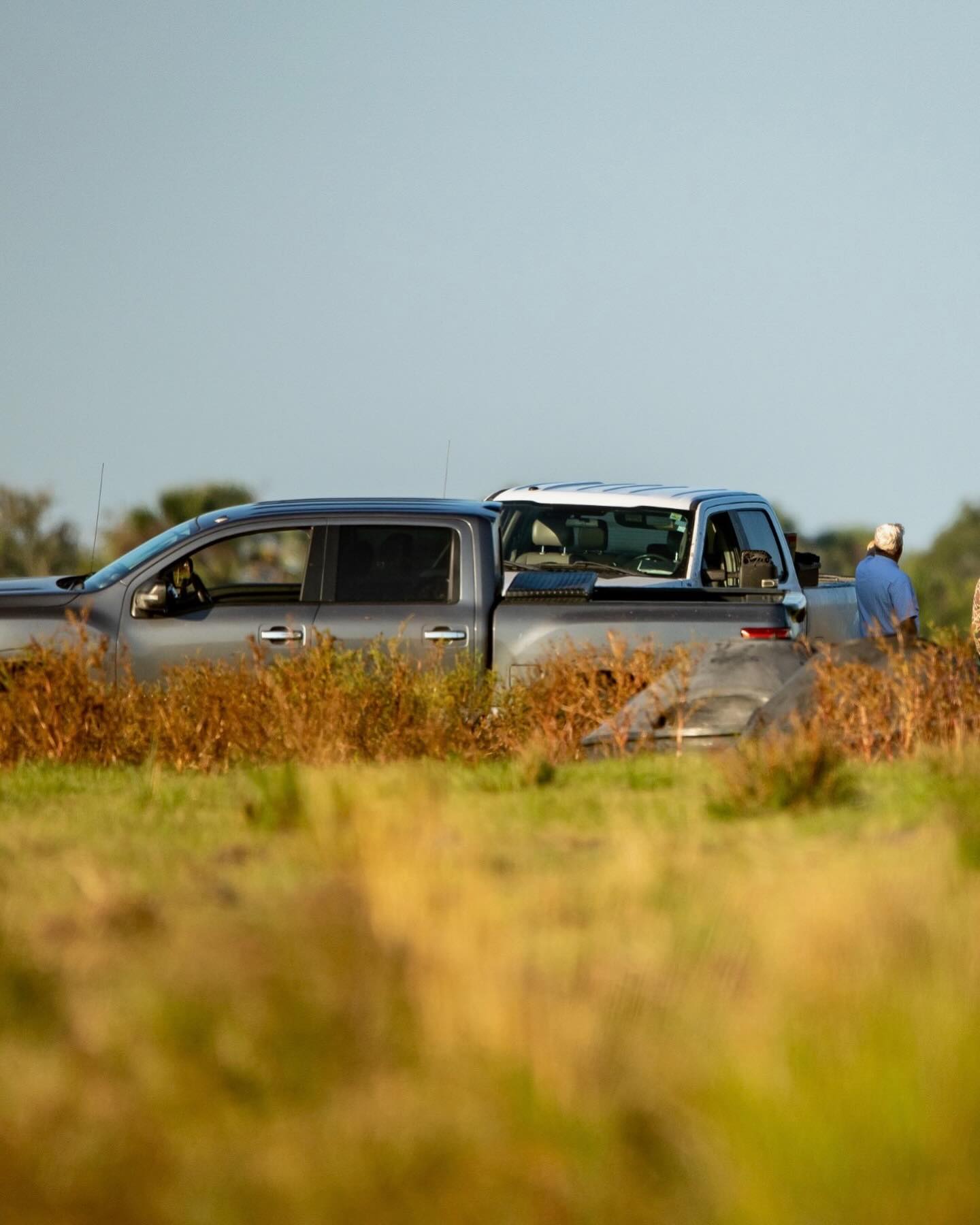Duck Ranchin'