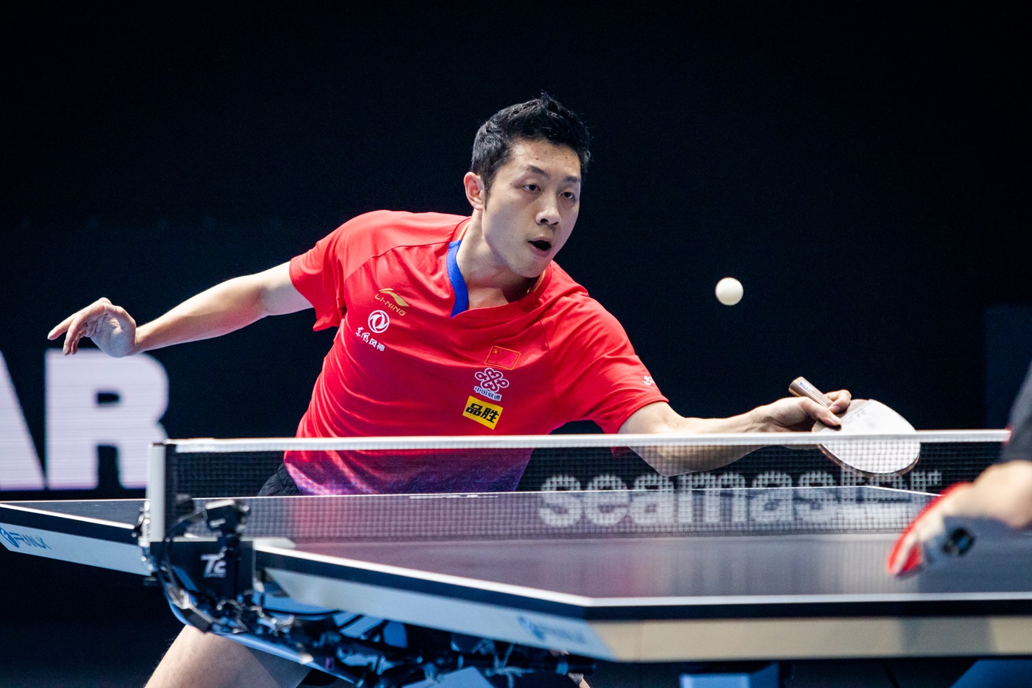 Xu Xin: Our Pen legend. ? His mastery of the game and unique 