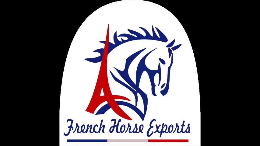 French Horse Exports | Saint-Lô