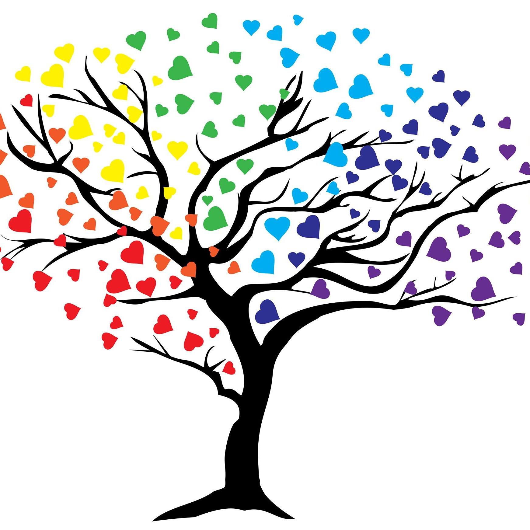 Rainbow Collaboration