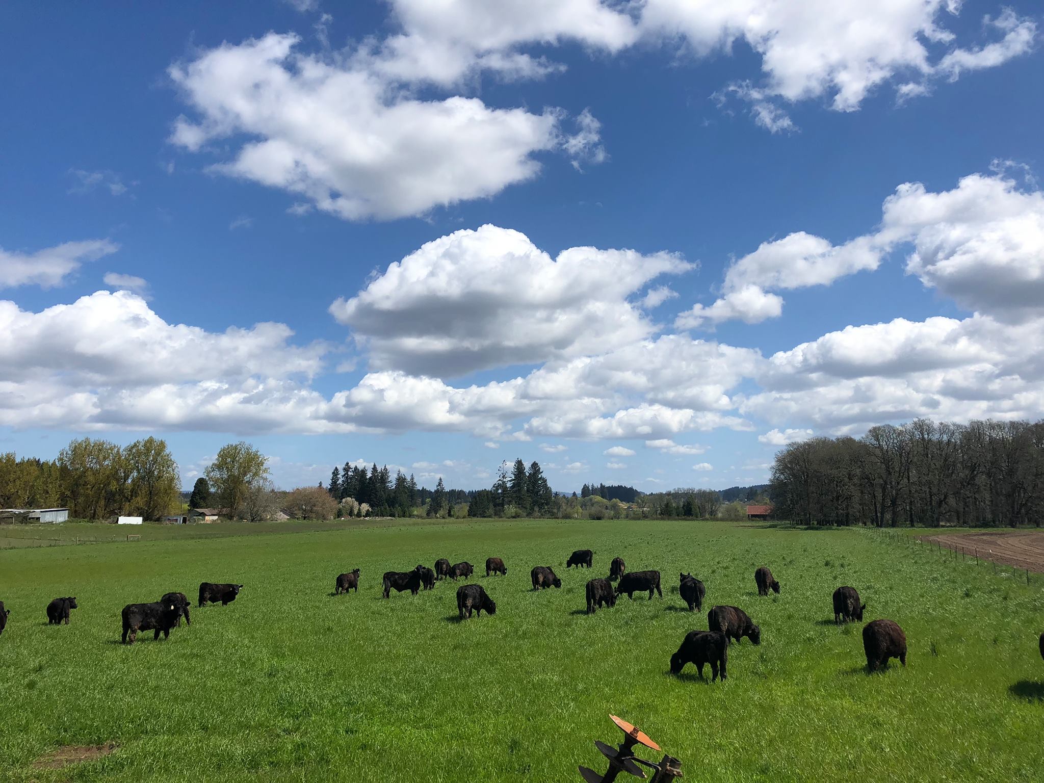 Rood Bridge Ranch LLC