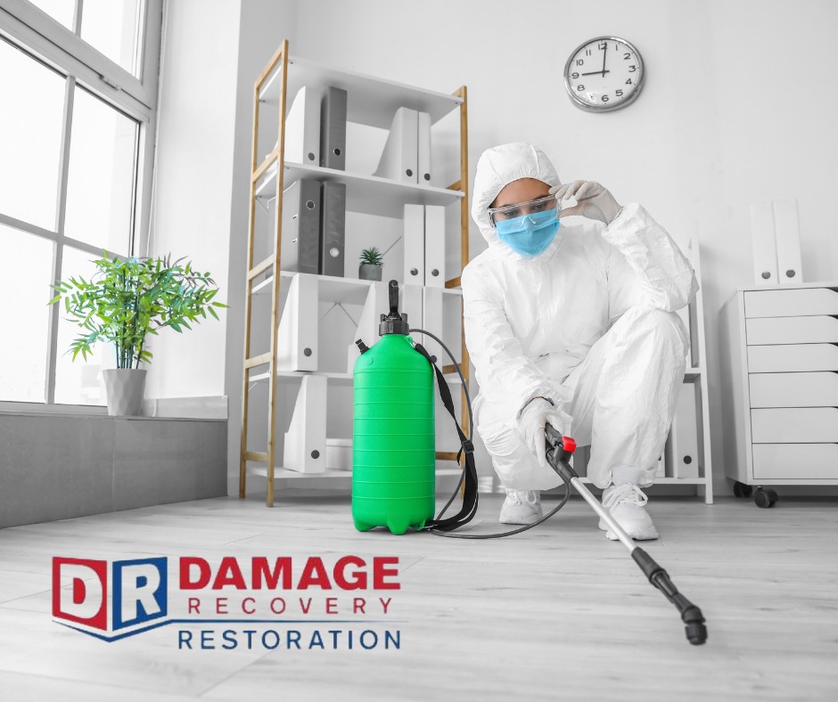 Damage Recovery Restoration