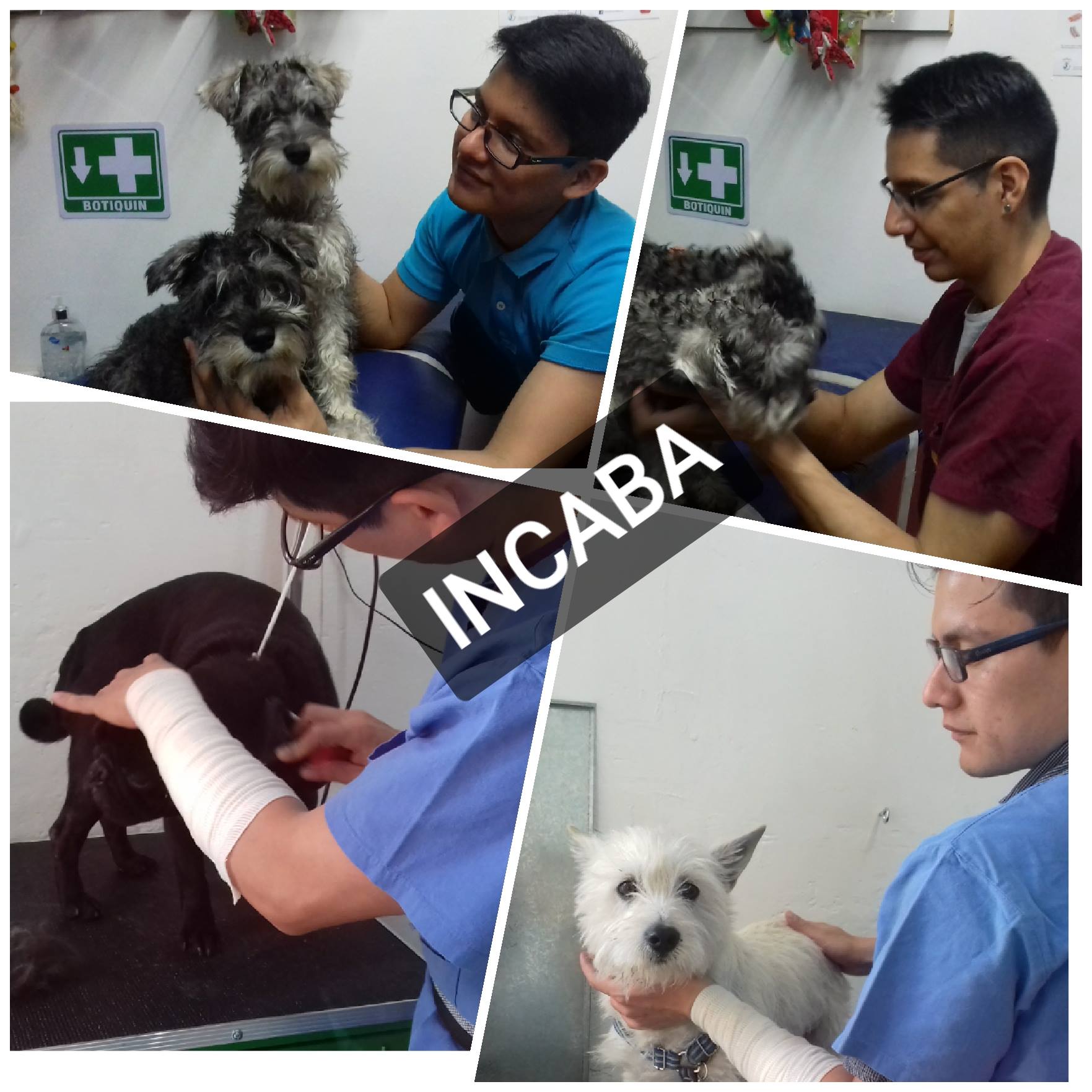 Incaba Servicios... - Incaba Servicios Profesionales