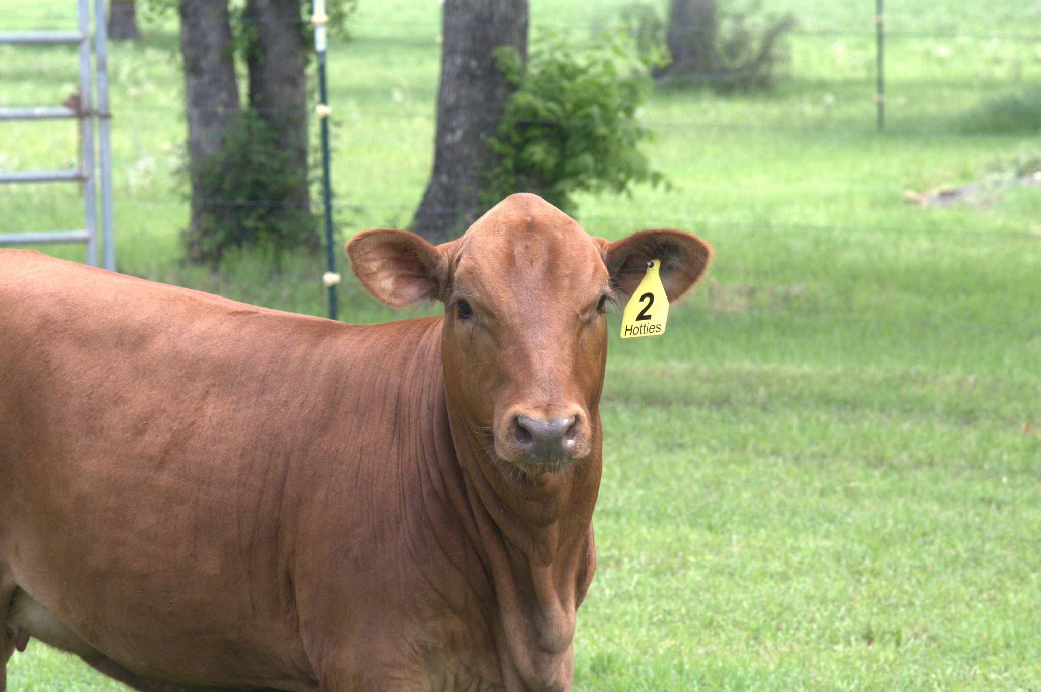 Bar G Ranch | Rogers TX