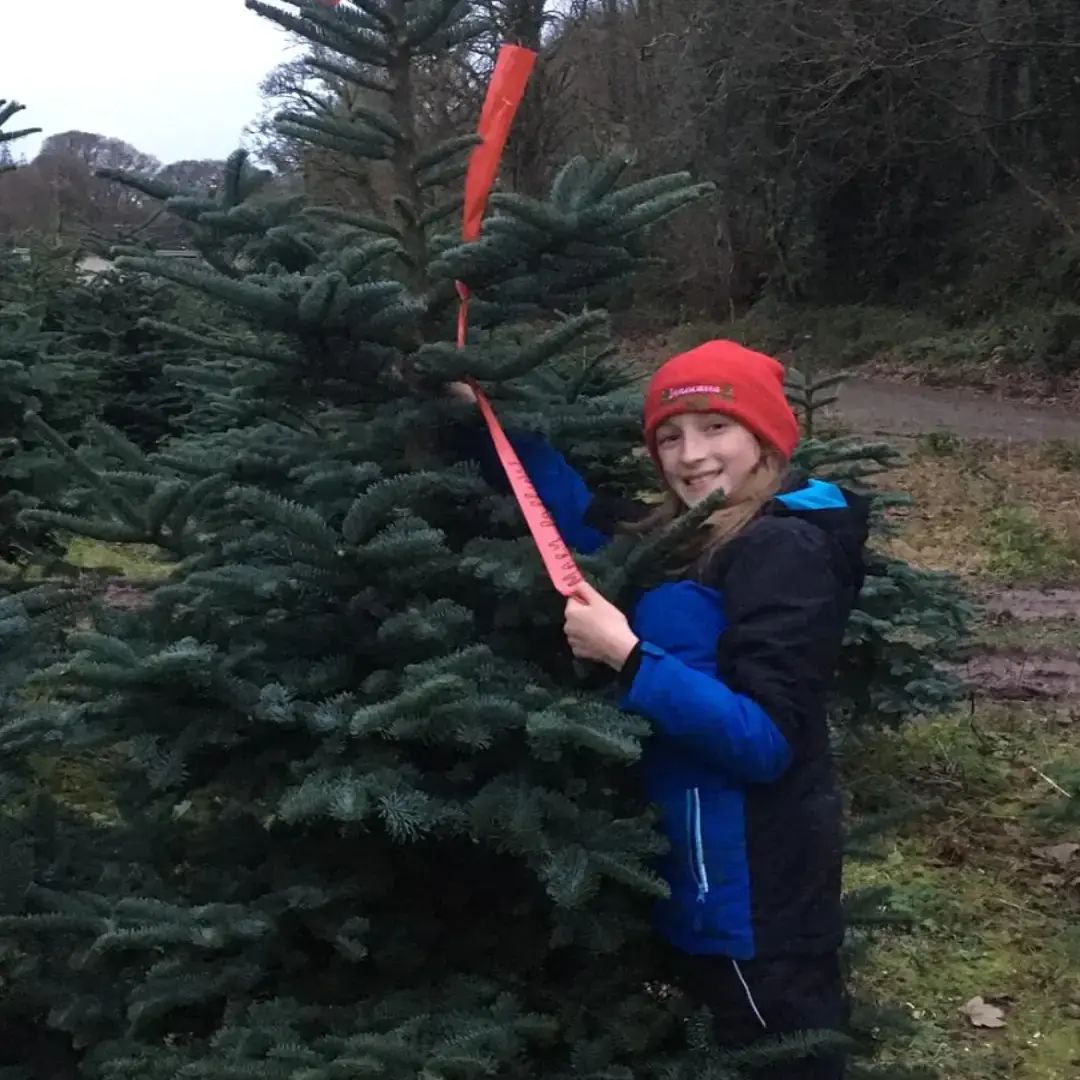 The Workers! A few Pics... - Inniscarra Christmas Tree Farm | Facebook