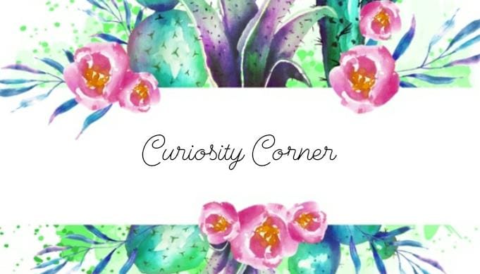 Curiosity Corner