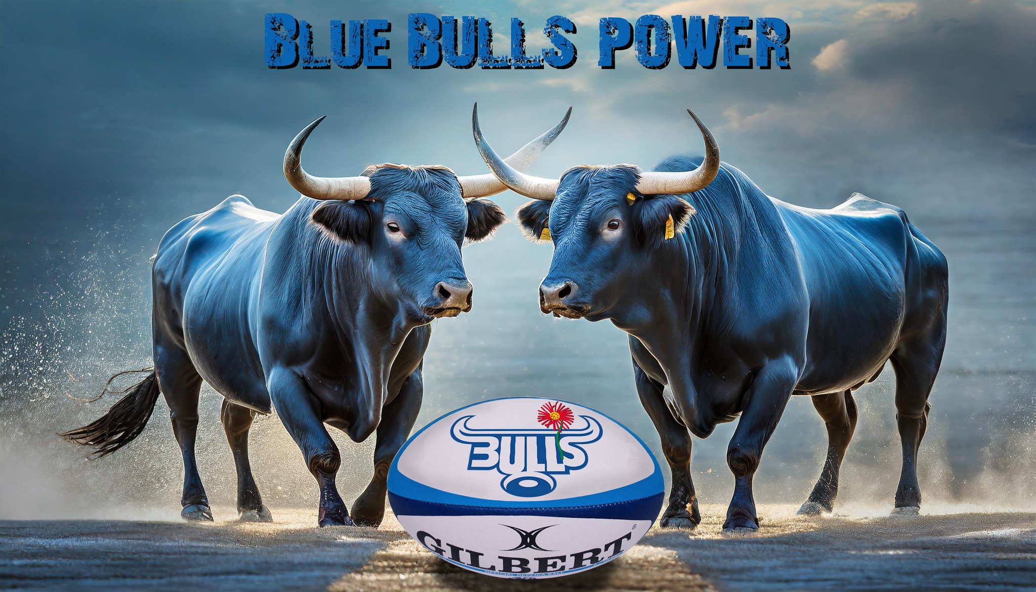Bulls Rugby