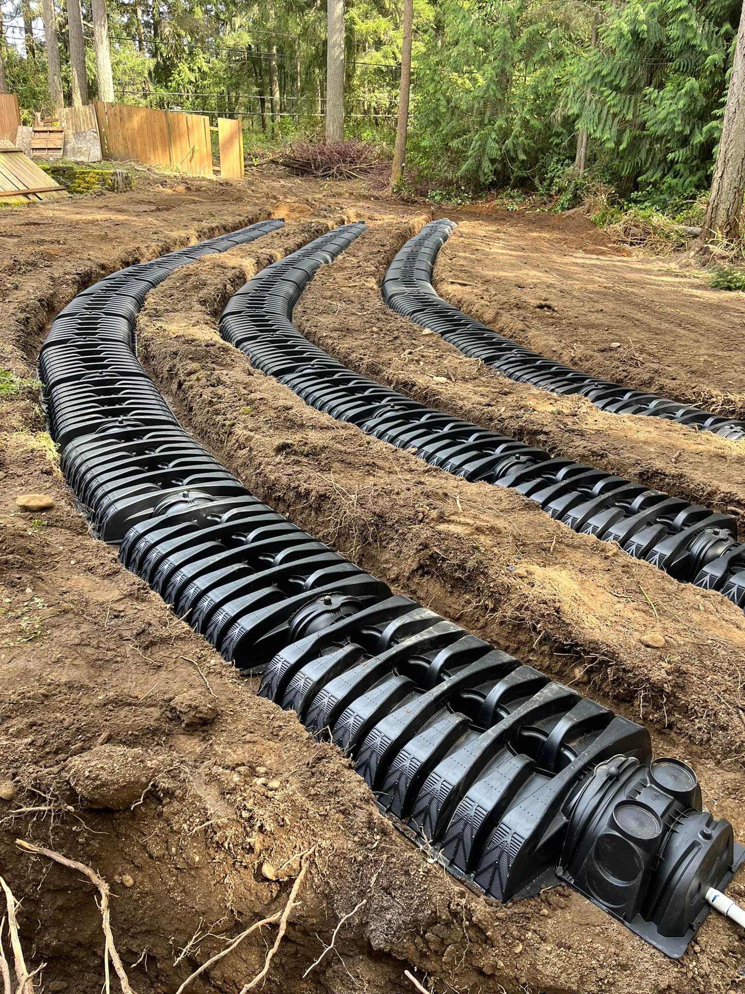 Proficient Excavation LLC | Shelton WA