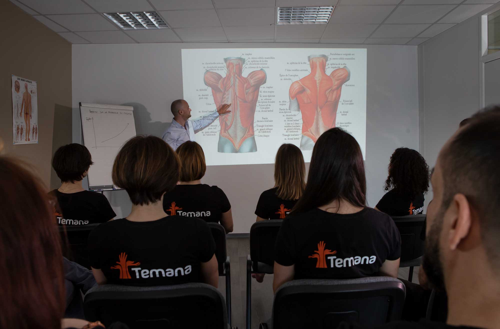 Formation Massage Temana | Colomiers