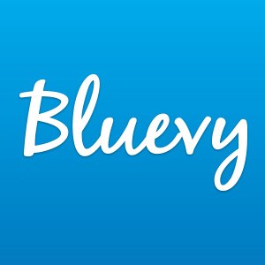 Bluevy - Help... - Bluevy - Help your Business Increase Sales