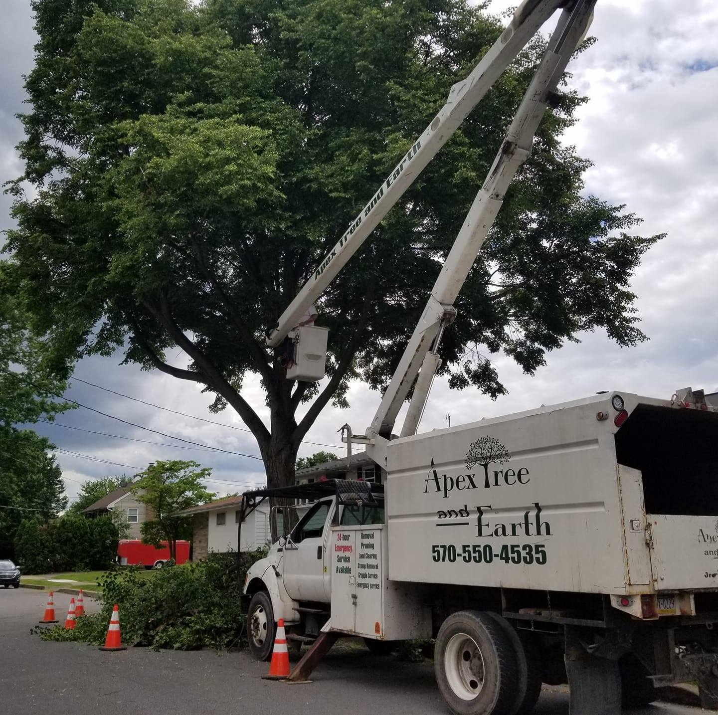 Apex Tree and Earth LLC updated... - Apex Tree and Earth LLC