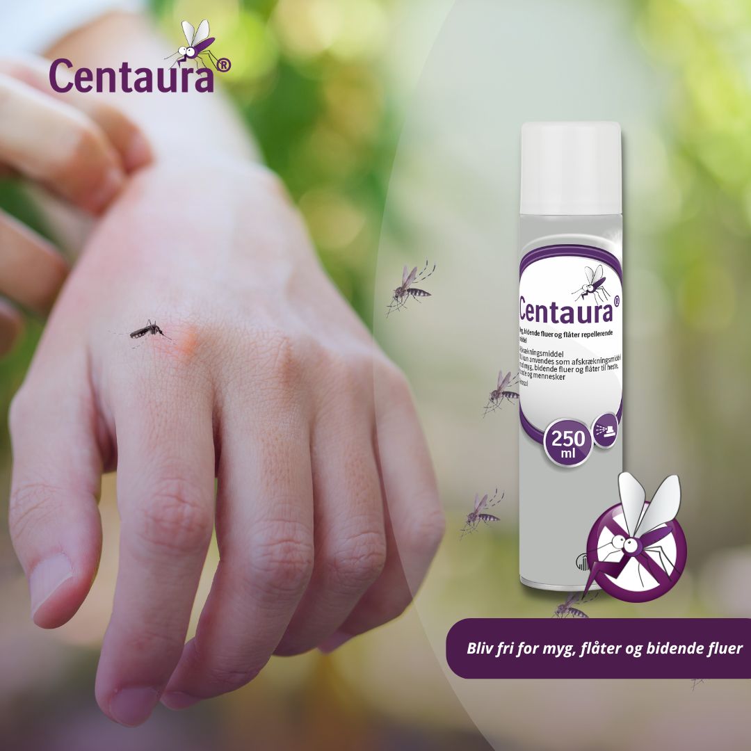 Centaura