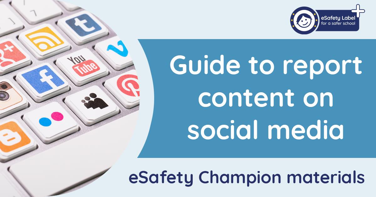 eSafety Label