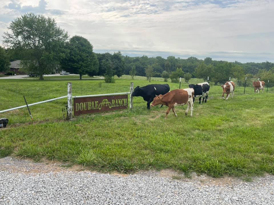 Double A Ranch - Double A Ranch added a new photo.