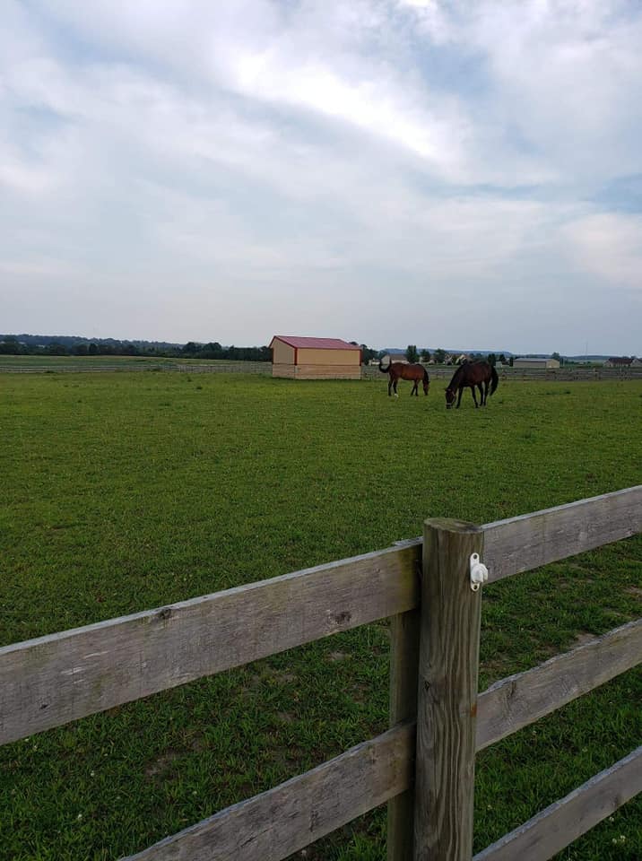 New Hope Stable LLC | Stoutsville OH