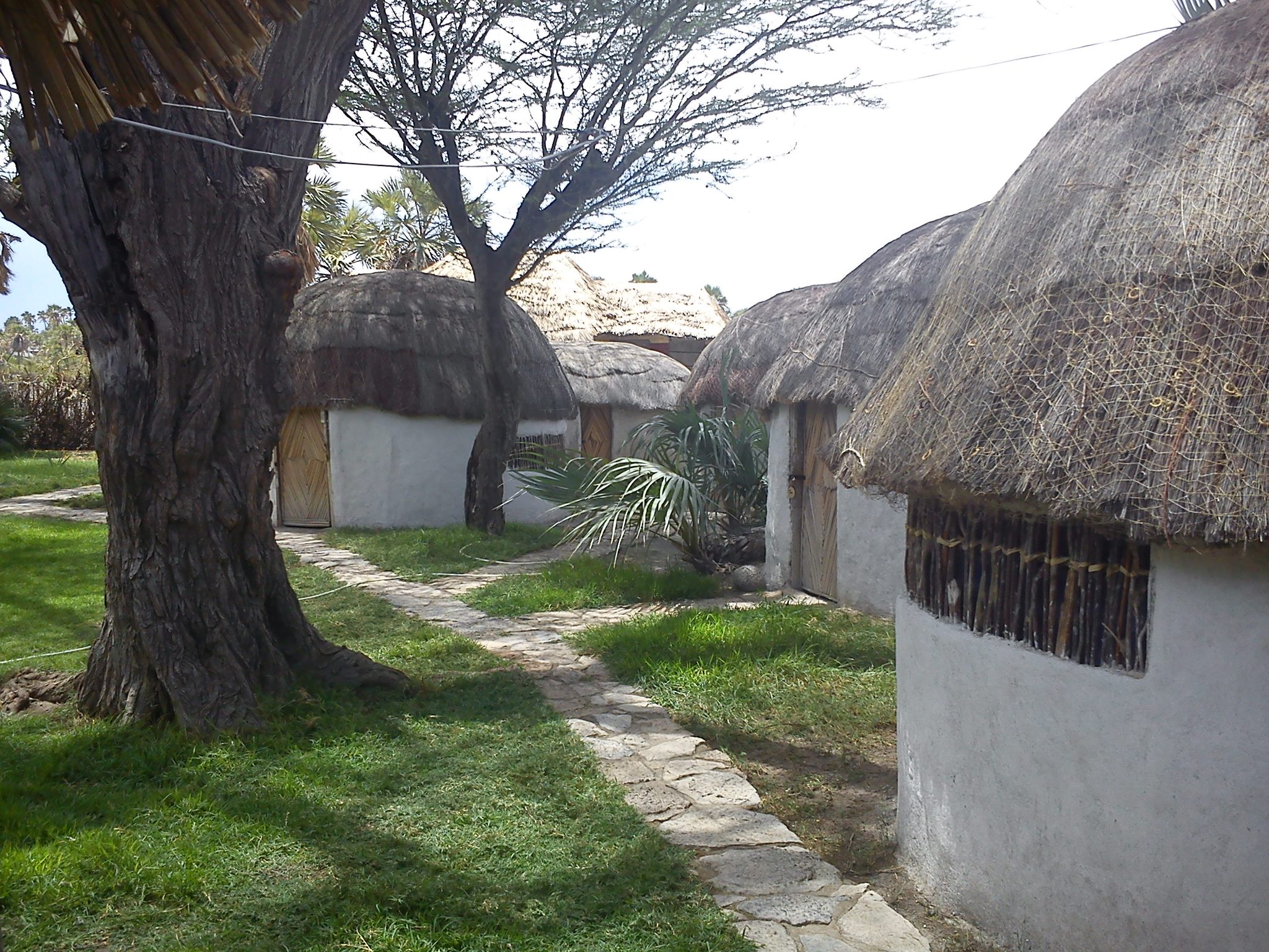 Palm Shade Camp - Marsabit  Facebook