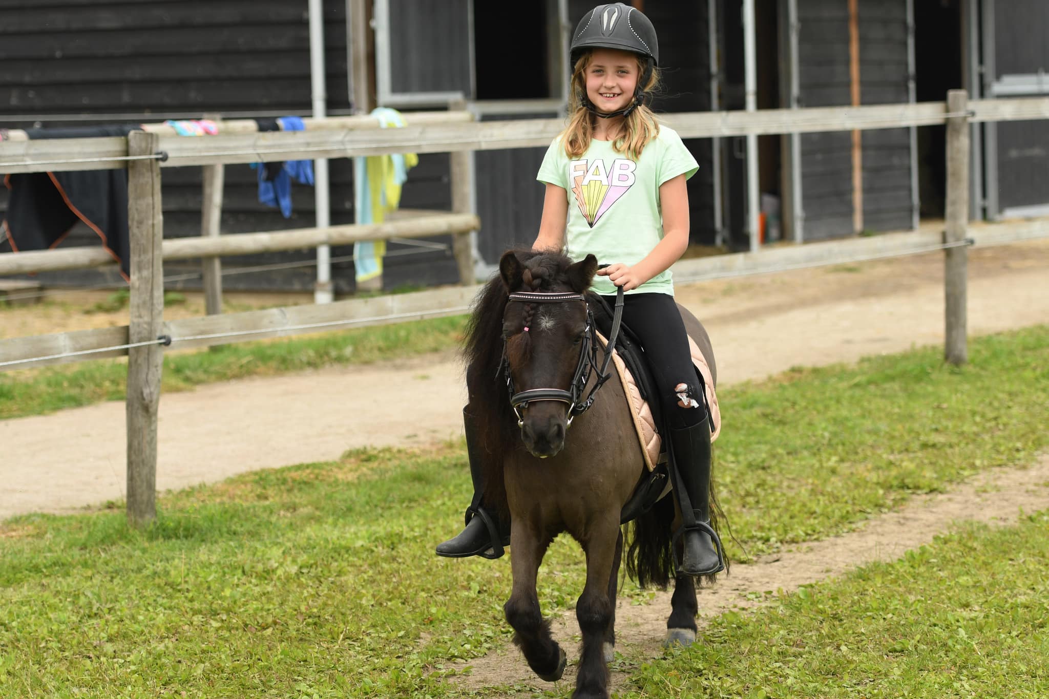 TCI Equi Sports - Zorro! 🥷🏼 Zorro is een shet van...