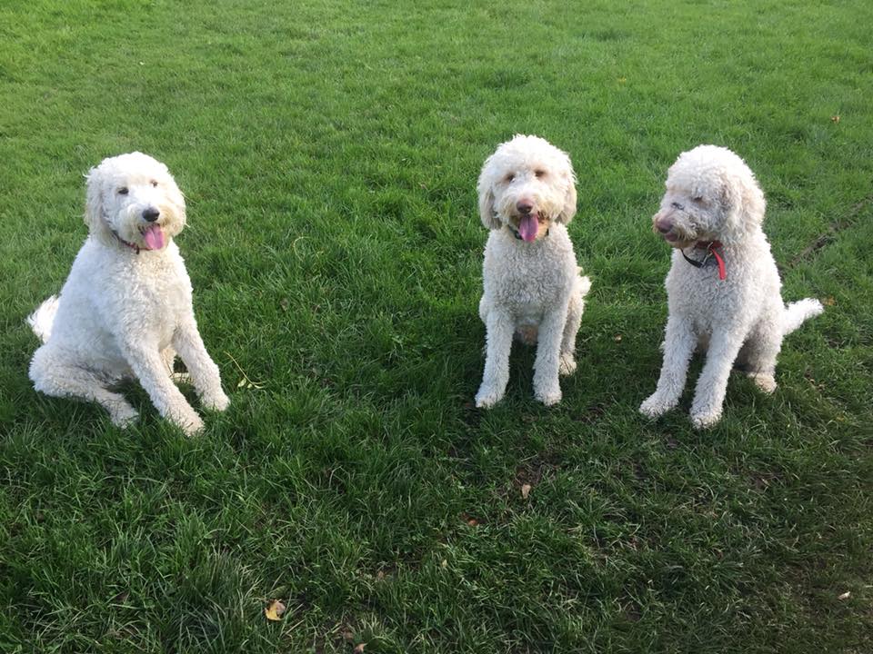 Bryn & Ritchie - Our first meeting with our brother Barney...
