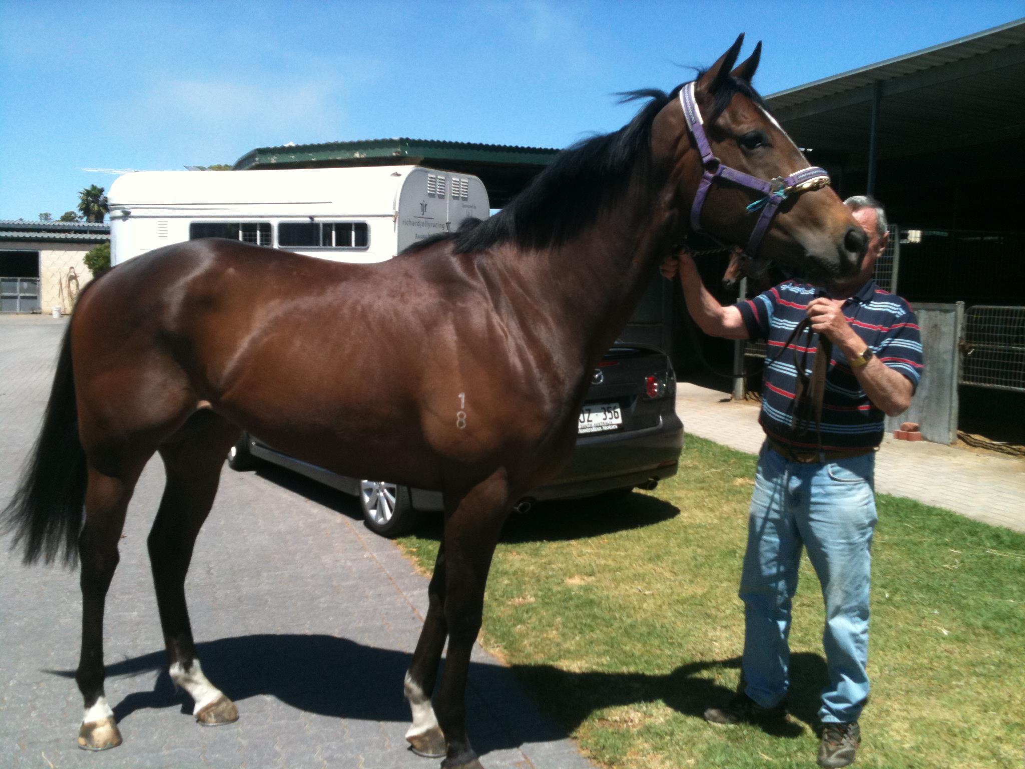 Dansie and Storr Racing added a... - Dansie and Storr Racing
