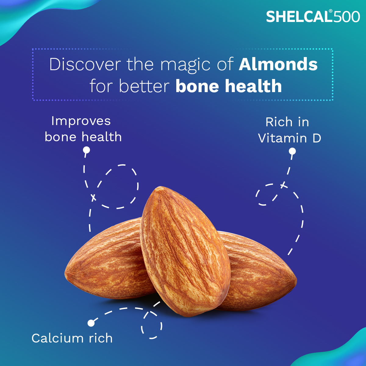 do almonds contain l-carnitine Tap into the nutty goodness of for better bone health. Don't forget to check out the calcium quotient in an almond on our calcium calculator. #HealthyBones #StayActive #CalciumDeficiency #Shelcal500 #ShelcalStrong Disclaimer Liposomal multimodal theranostics for BPC-157:10mg Vial vitamin enriched face cream
