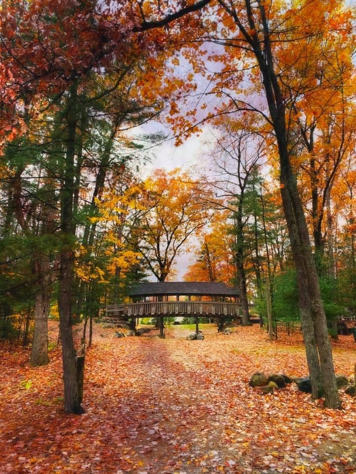 We are peak colors... - Timber Ridge RV & Recreation Resort | Facebook