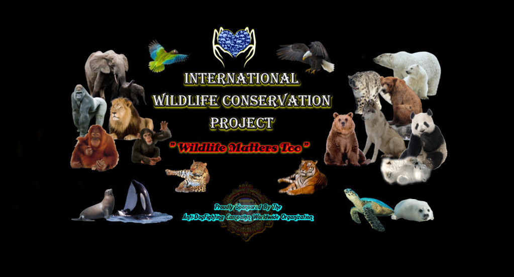 International Wildlife Conservation Project