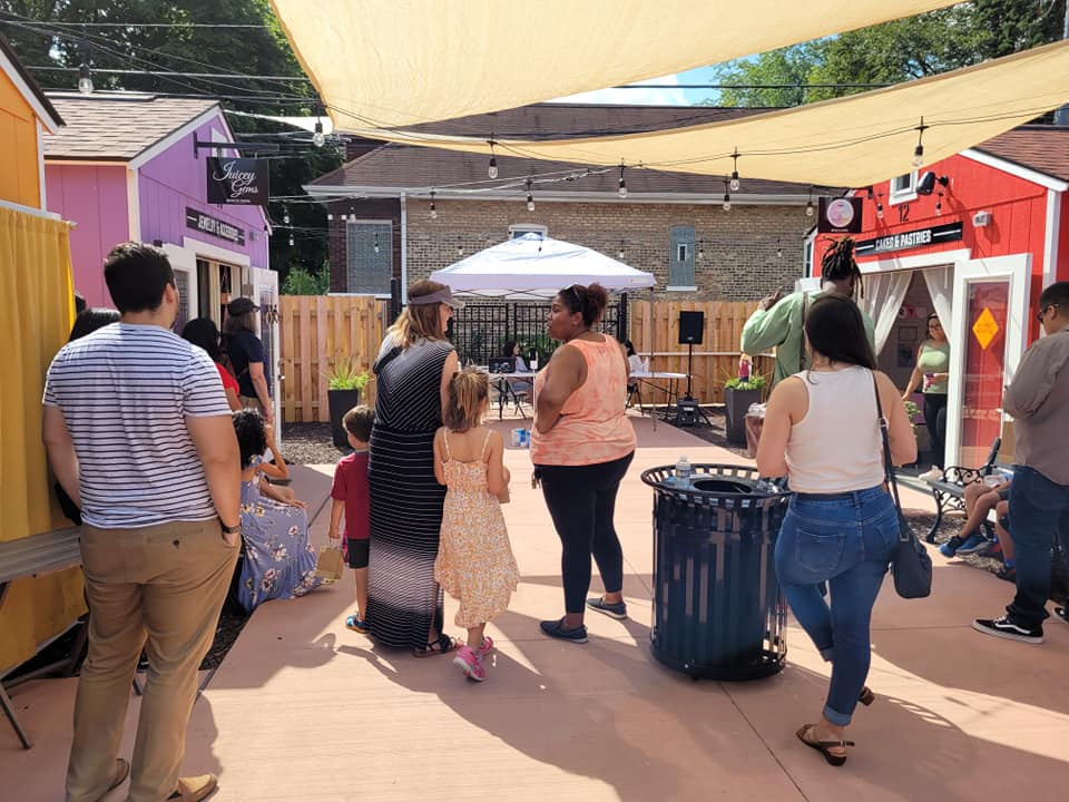 Berwyn Free Library Initiative