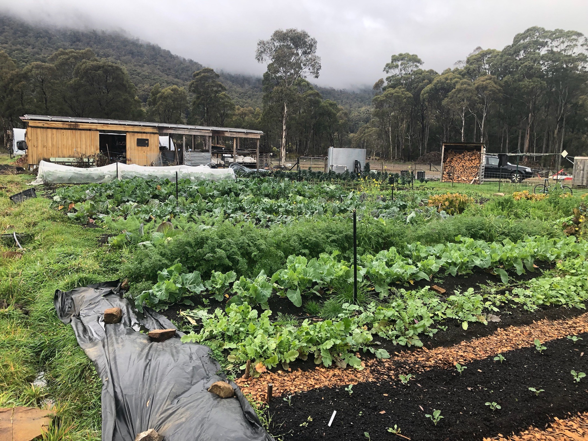 Springdale Farm | Collinsvale TAS