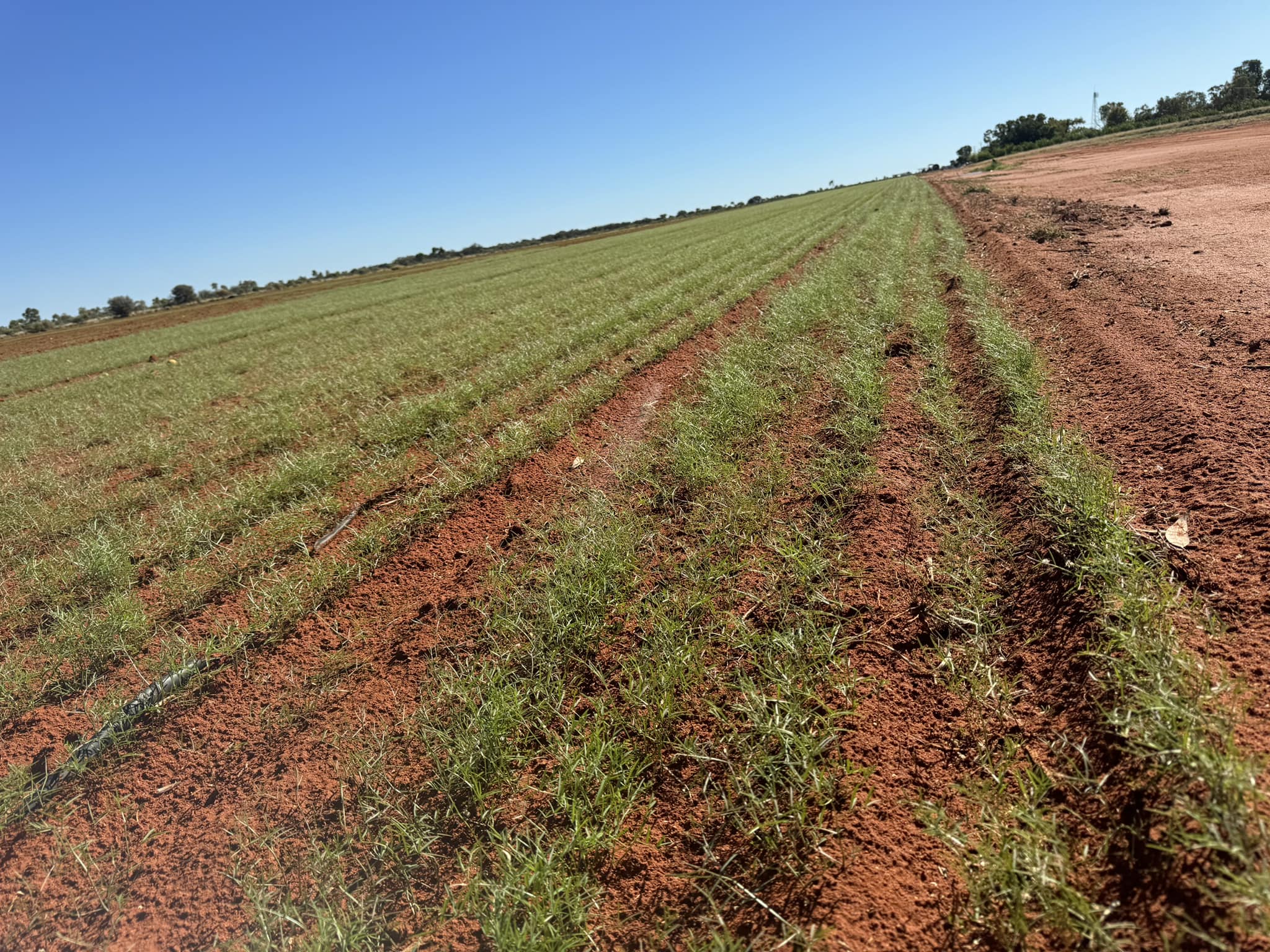 An that’s all... - Outback Farm- Athelle Outback Hideaway