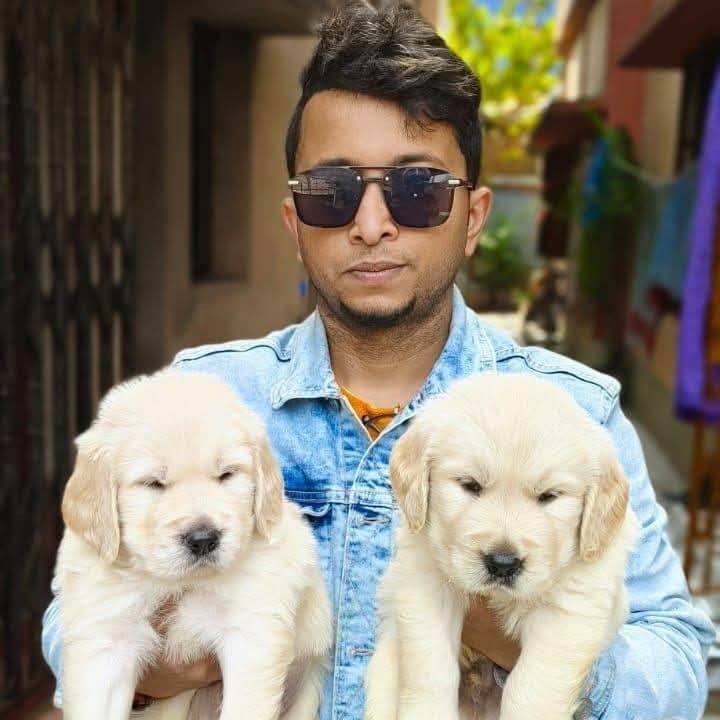 GERMAN SPITZ PUPPIES | Mithun Datta