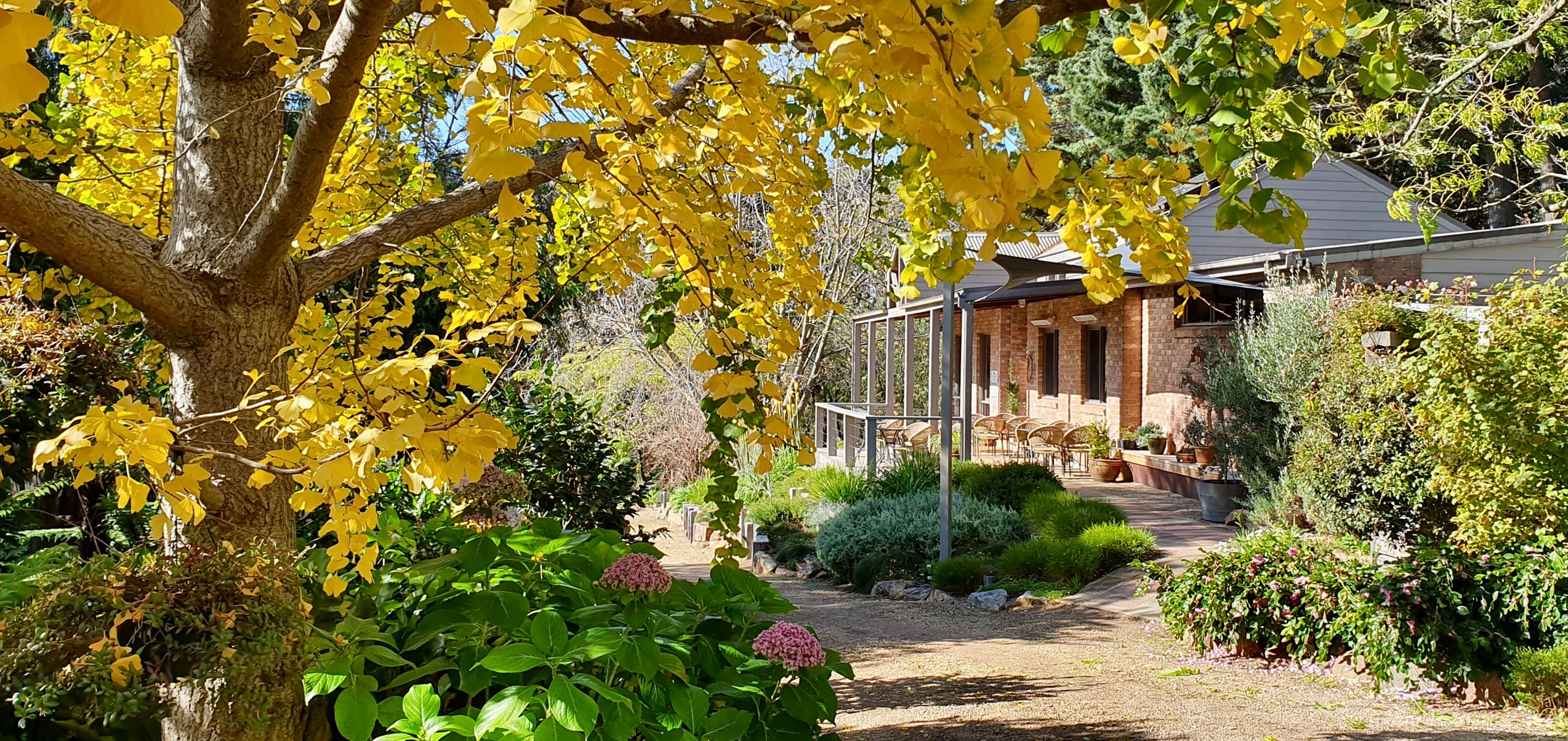 Main Ridge Estate | Red Hill VIC