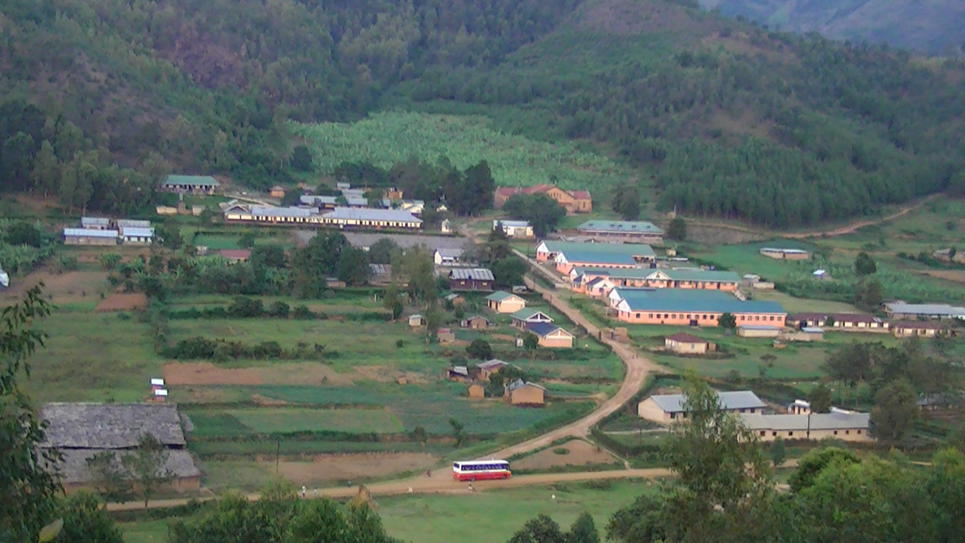 St clelia primary school