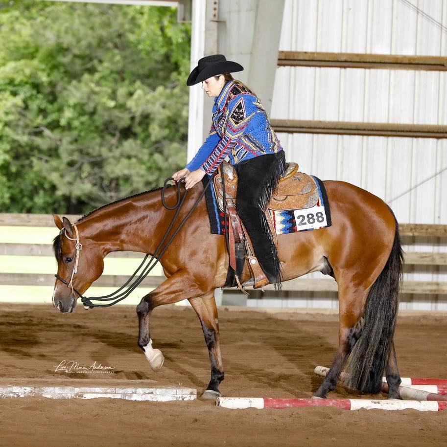 Lone Star Stables added a new photo. - Lone Star Stables