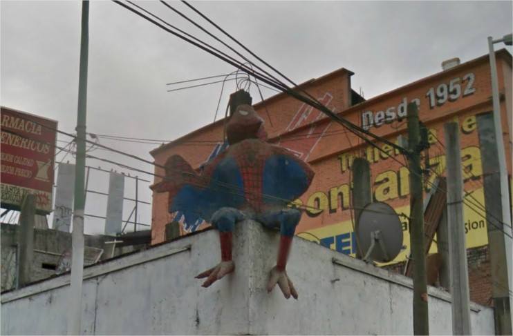 El pollo araña