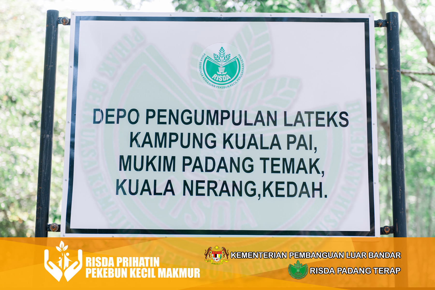 KURSUS PENGURUSAN KEBUN GETAH LATEKS... - RISDA Padang Terap