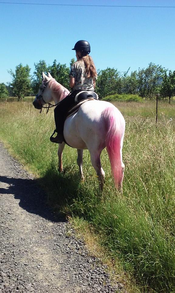 Pink Pony Ranch | Ojai CA