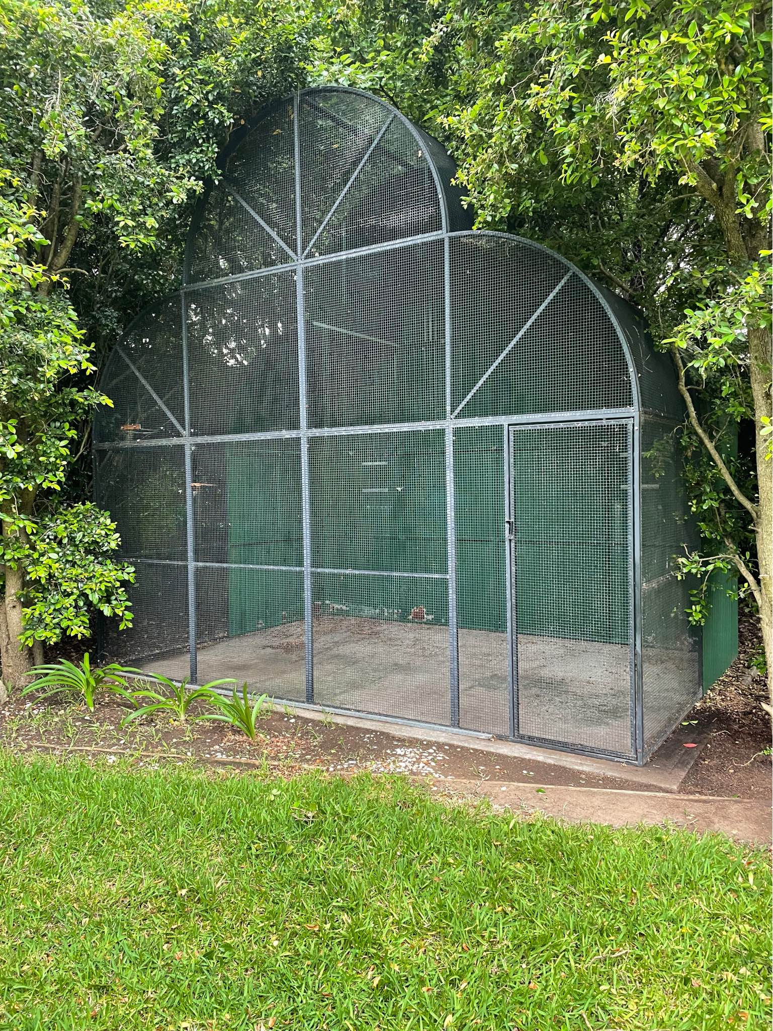 View of Stylish large custom made bird aviary - Bird Supplies - Sydney ...