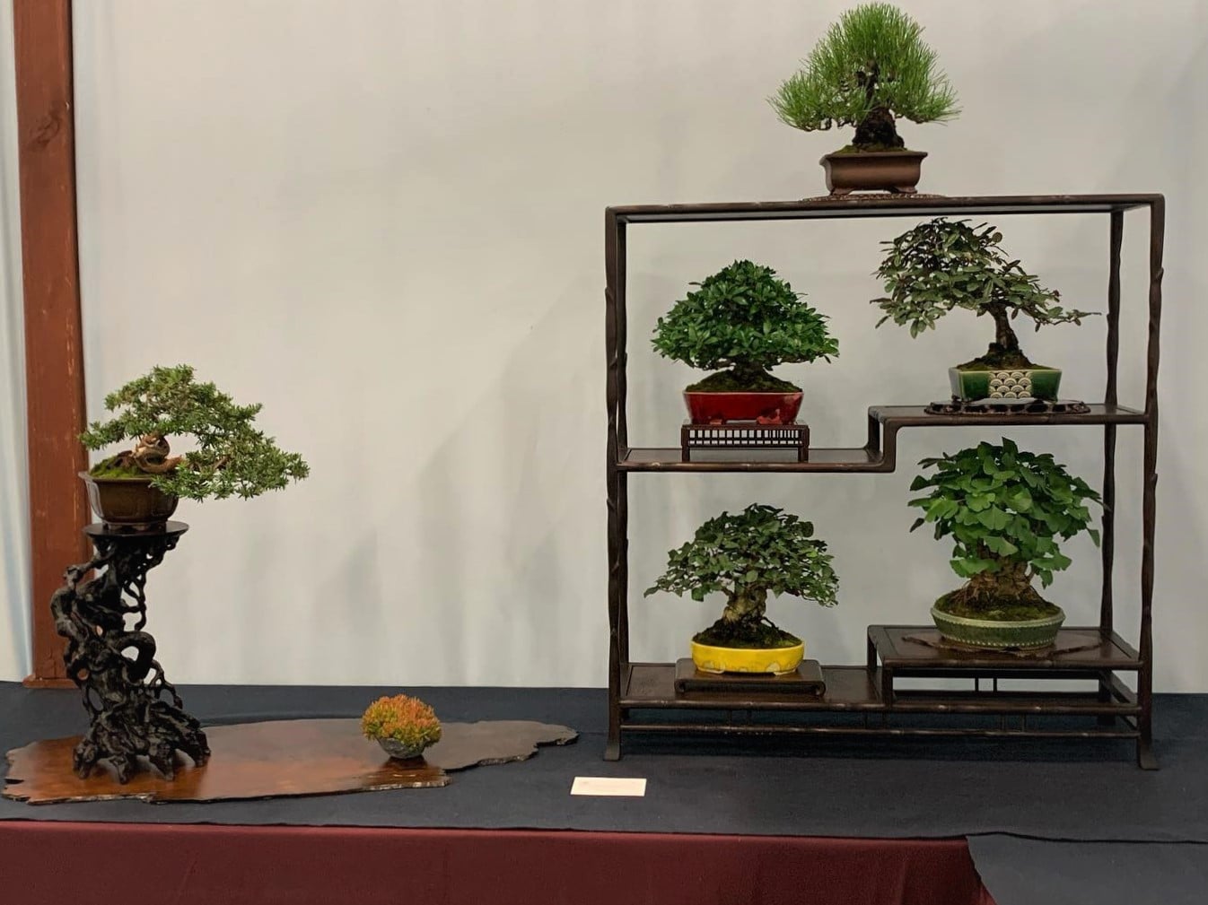 Custom walnut bonsai display stand by David Knittle