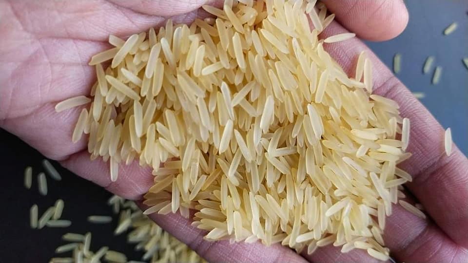 RK GLOBAL & RK FOODS RICE Mills