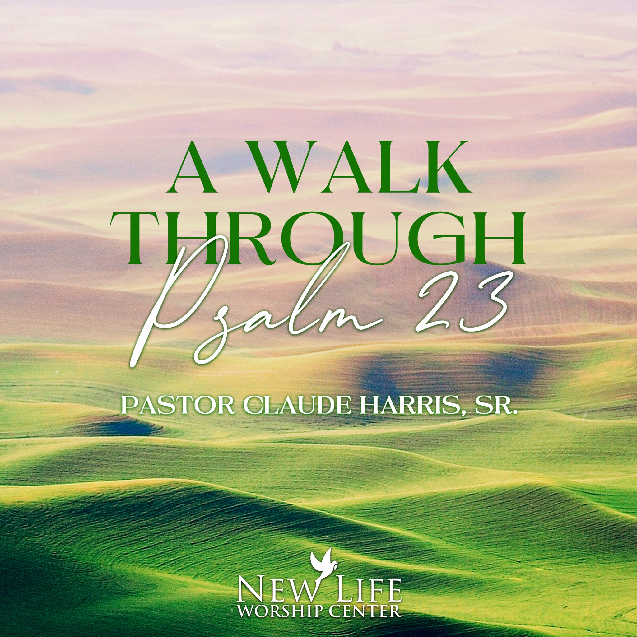Watch "A Walk Through Psalm 23,"... - New Life Worship Center | Facebook