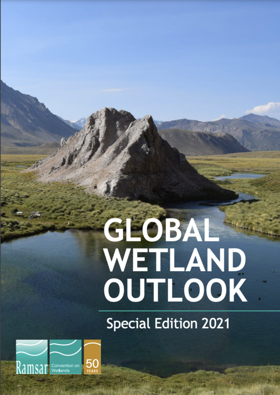 The Ramsar... - Global Youth Biodiversity Network (GYBN)