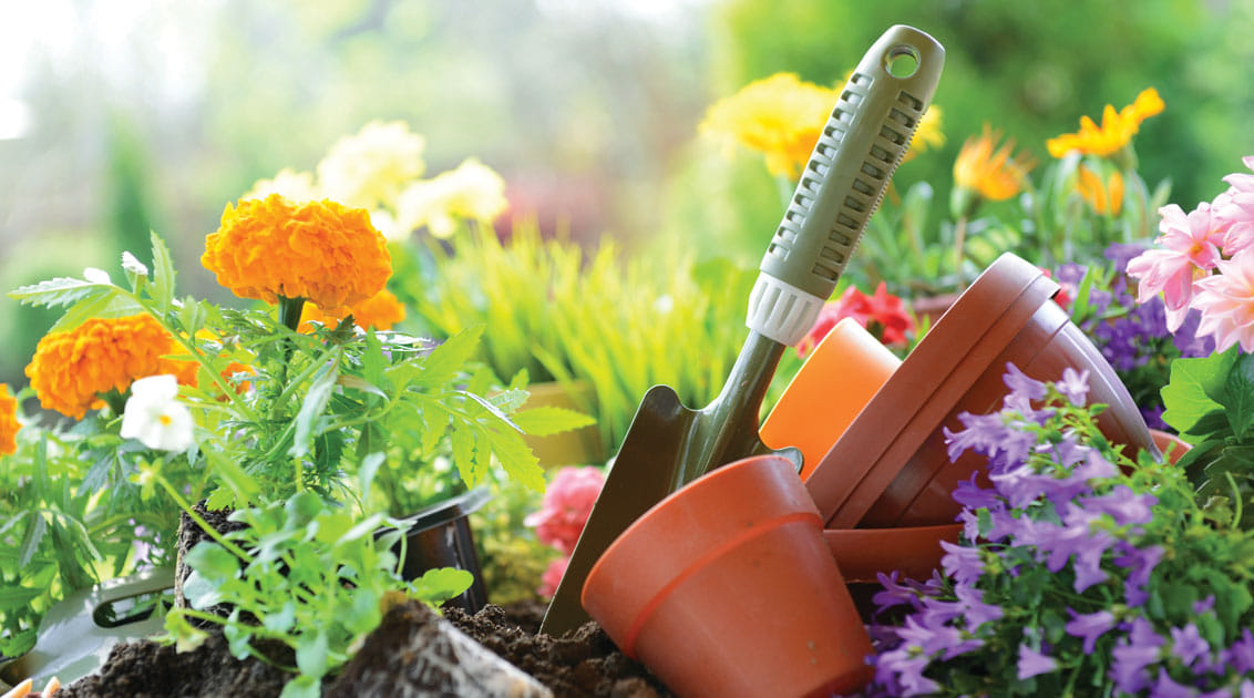 Curated visual reference: Gallery Detail: Artistic Gardening Added A New Photo