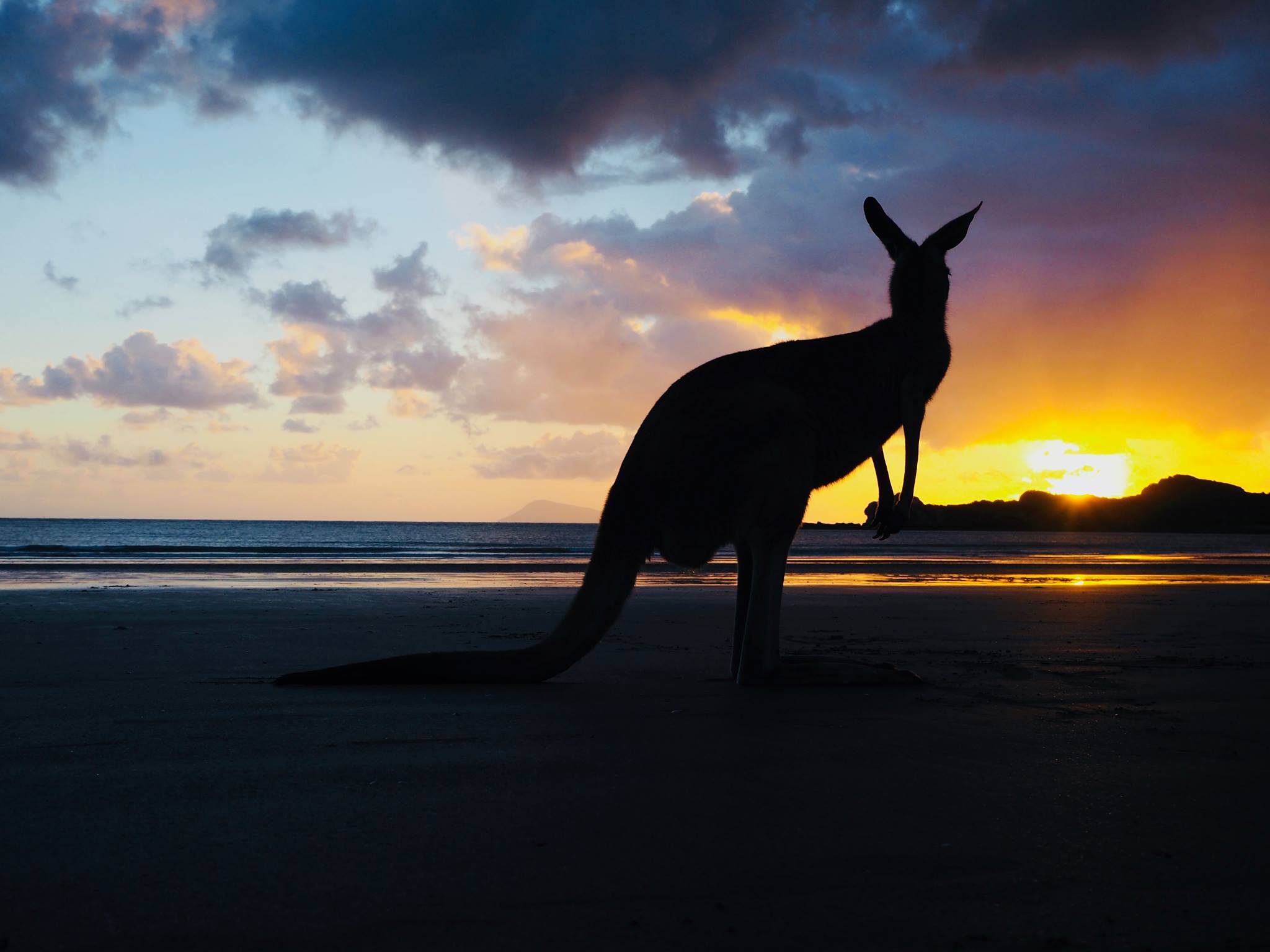 The Great Australian Bucket List