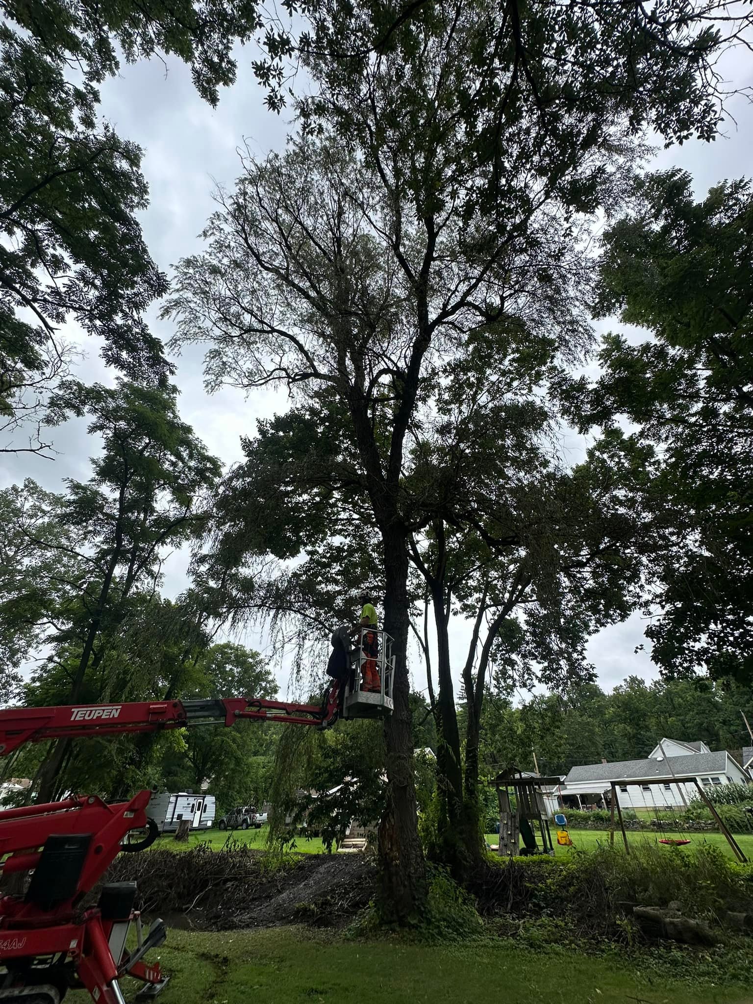 Ballston Tree & Property Services | Ballston Spa NY