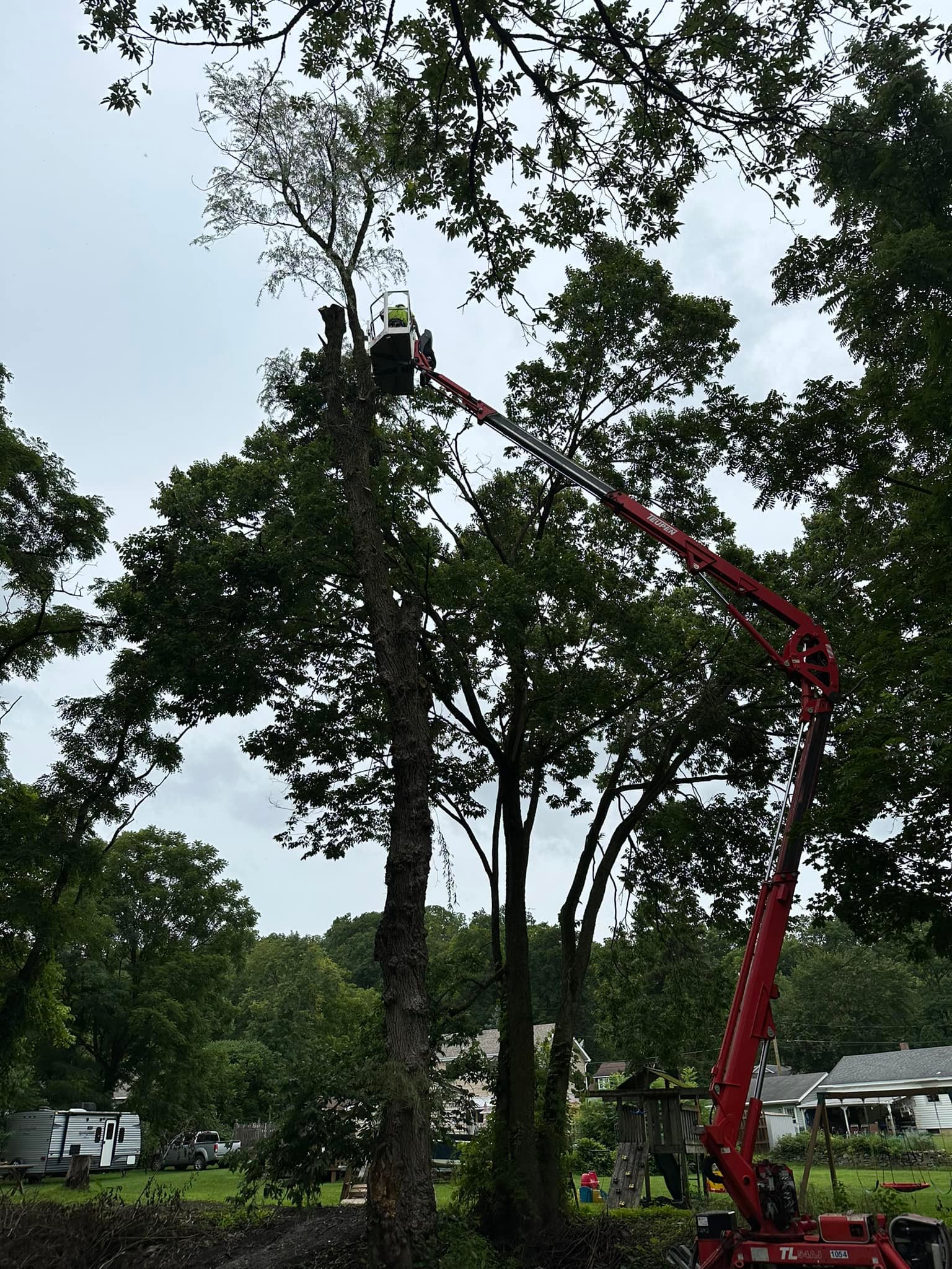 Ballston Tree & Property Services | Ballston Spa NY
